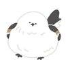 しーるま