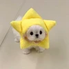 ふみ