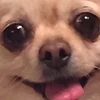 はじめ