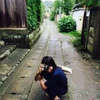 あんどんぐり