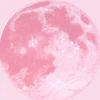 user4p53yUxdSOx