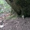 湫川仰角