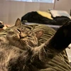 ほぎょぺ