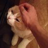 Ryuzo