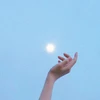 TKすずきくん