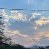 たらこ