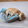 まろん