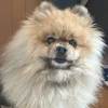 たぬ