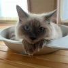 NANA