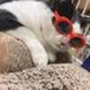 夜はね