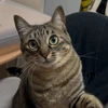 むぎ