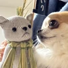 ででで