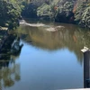 だいすけ