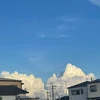りん