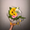 nan_n