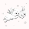 みゃく