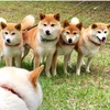 タイペイ