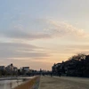 edamanekinoco