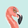 じょんふぃるむ