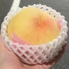 素直なやどかり
