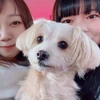 ひとみ