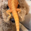 高菜はゲートウェイ