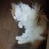 いち