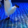 ミ