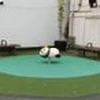 Tenki