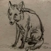 うーちゃむ