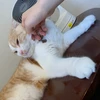 さちおん