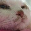 いくしま農業勉強中