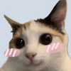 うちゃ
