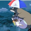 のむ