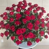 12月30日