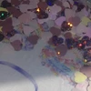 ニート