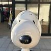 しょ
