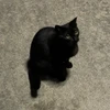 Ray