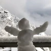 わきちゃん