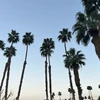 maru__sara