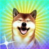 犬