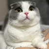 UlqbqbU