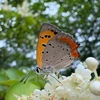 もへじ