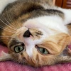 あ