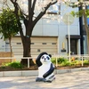 ninoca