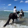 沙羅