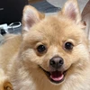 user00hisamaru