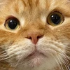 さとう