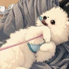 アンレッズ