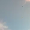 リ